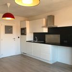 Rent 1 bedroom apartment in Zottegem