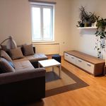 Rent 2 bedroom apartment of 53 m² in Liberec