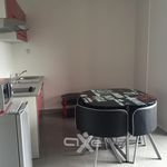 Rent 1 bedroom apartment of 23 m² in Corte