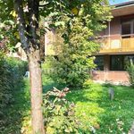 Affitto 5 camera casa di 300 m² in Modena