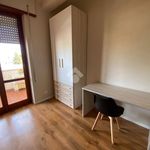 Affitto 3 camera appartamento di 15 m² in Latina