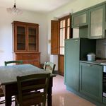 Rent 3 bedroom house of 145 m² in Camaiore