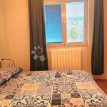 Rent 3 bedroom apartment of 200 m² in Primorsko-goranska zupanija