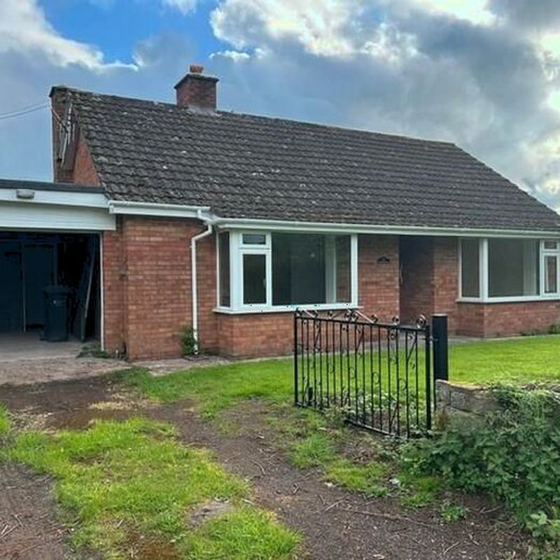 2 Bedroom Detached Bungalow To Rent In Clifford, Hereford, HR3 Cusop