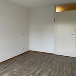 Rent 1 bedroom apartment in Oldenzaal