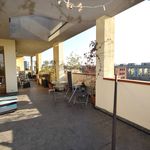 Rent 4 bedroom apartment of 138 m² in Parma
