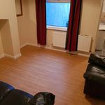 Rent 1 bedroom apartment in Belfast