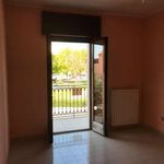 Rent 5 bedroom house of 150 m² in Busso