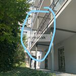 Rent 4 bedroom apartment of 153 m² in Staré Město