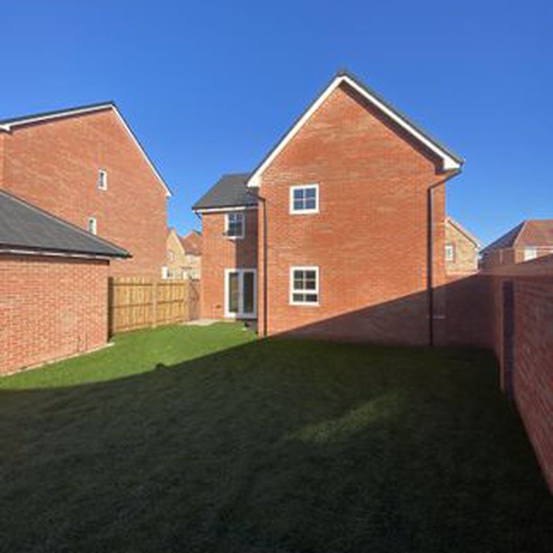 Detached house to rent in Widnall Drive, Bingham, Nottingham, Nottinghamshire NG13 Newton