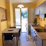Rent 2 bedroom apartment of 40 m² in Pisa
