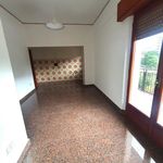 Rent 1 bedroom apartment of 150 m² in Cittanova