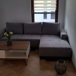Rent 1 bedroom apartment of 50 m² in Warszawa