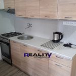 Rent 2 bedroom apartment of 35 m² in Podbořany