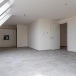 Kamer van 102 m² in Hulst