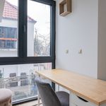 Miete 1 Schlafzimmer wohnung von 25 m² in Potsdam