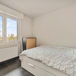 Huur 3 slaapkamer huis in Poperinge