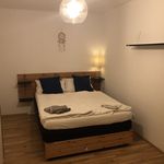 Miete 2 Schlafzimmer wohnung von 60 m² in Fürth