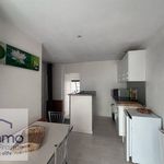 Rent 1 bedroom apartment of 28 m² in Grenoble 