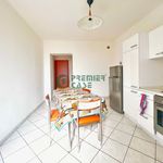 Rent 2 bedroom apartment of 45 m² in Turin