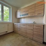 Rent 3 bedroom apartment of 62 m² in Orlová