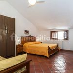 Rent 4 bedroom apartment of 60 m² in Marsala