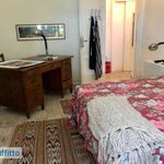 Affitto 2 camera appartamento di 50 m² in Rosignano Marittimo