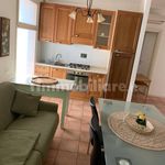 Rent 3 bedroom apartment of 90 m² in Riccione