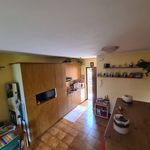 Rent 1 bedroom apartment of 30 m² in Bergamo