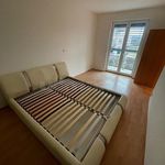 Rent 1 bedroom apartment of 62 m² in Praha