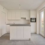 Rent 4 bedroom house of 239 m² in Ravels Weelde