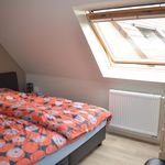 Rent 2 bedroom apartment of 69 m² in Machelen