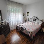Rent 5 bedroom apartment of 120 m² in Livorno