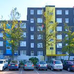 Rent 3 bedroom apartment of 74 m² in Münster