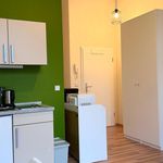 Rent 1 bedroom apartment of 24 m² in Dresden
