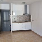 Rent 1 bedroom apartment of 29 m² in Le Val