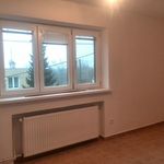 Rent 1 bedroom house in Ostrava