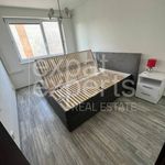 Rent 2 bedroom apartment of 53 m² in Jáchymov