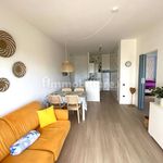 Rent 3 bedroom apartment of 65 m² in Misano Adriatico