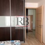 Rent 2 bedroom apartment of 52 m² in Jáchymov