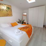 Rent 1 bedroom house of 60 m² in Alcochete