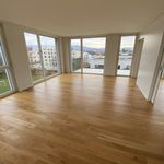 Miete 3 Schlafzimmer wohnung von 74 m² in Birsfelden