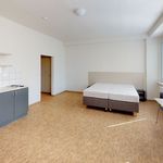 Rent 1 bedroom apartment of 38 m² in Vršovice