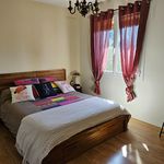 Rent 5 bedroom house of 130 m² in Albi