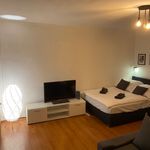 Rent 1 bedroom apartment of 33 m² in Dortmund
