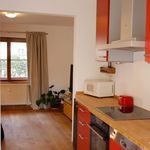 Rent 3 bedroom apartment of 44 m² in Radebeul