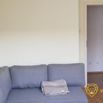 Rent 2 bedroom apartment of 52 m² in Wrocław