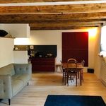 Rent 1 bedroom apartment in Wädenswil