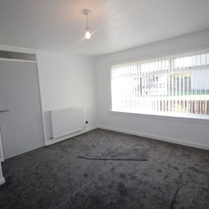 Bungalow to rent in Redhouse Lane, Carluke, South Lanarkshire ML8