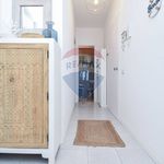 Affitto 3 camera appartamento di 100 m² in Mascali